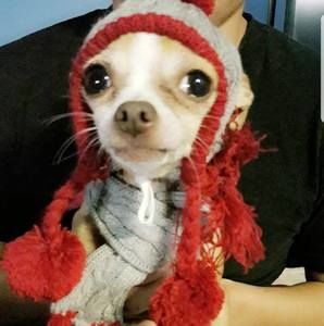 Meet your Posher, Jeison